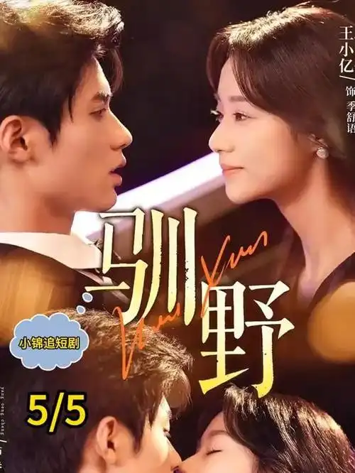 山海邮局 热播电视剧全集更新